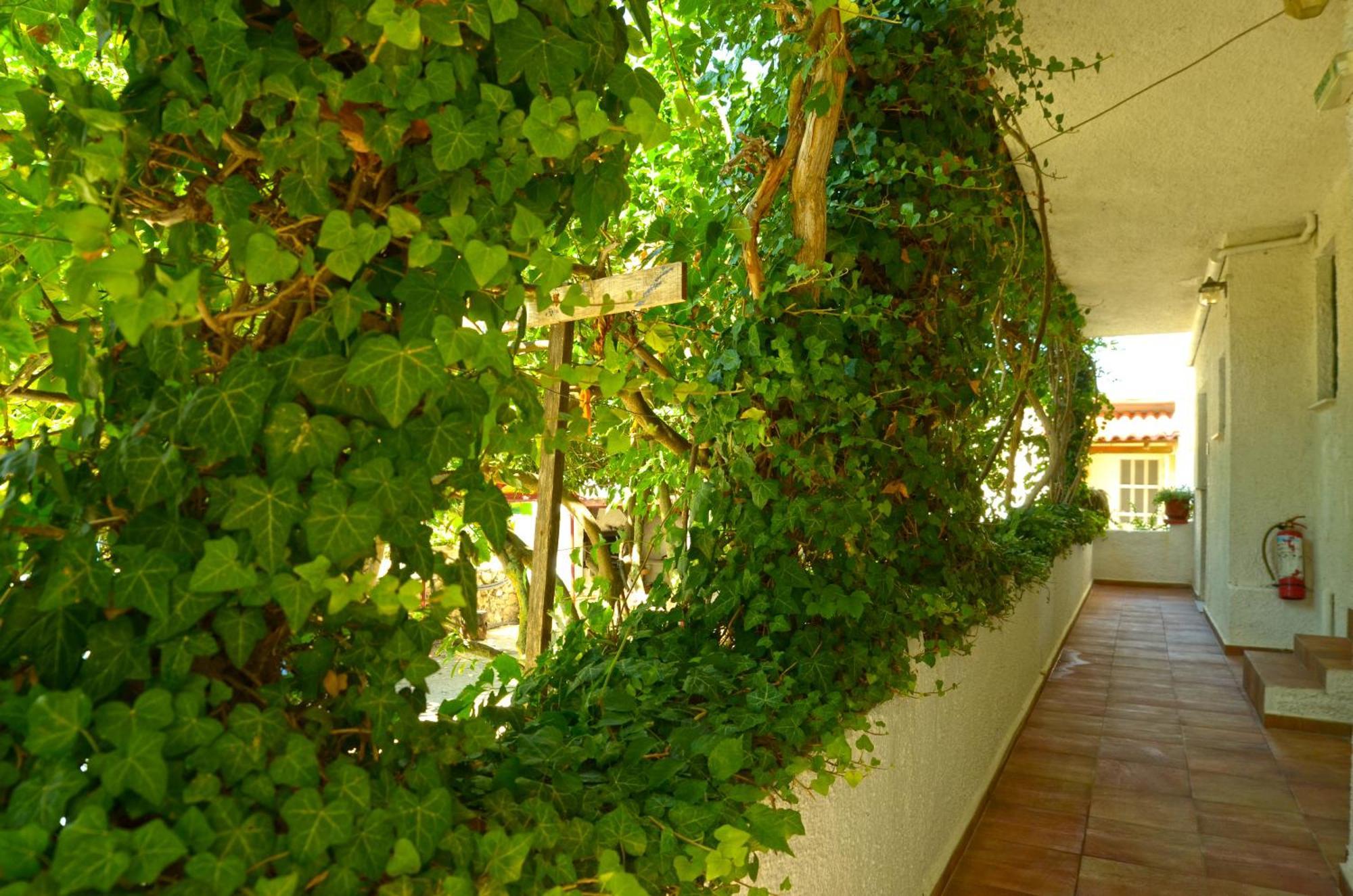 Lemonia Accommodations Agios Sostis  Exteriér fotografie